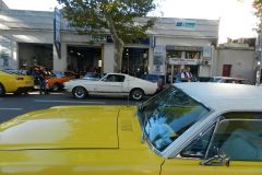 DSCN5811